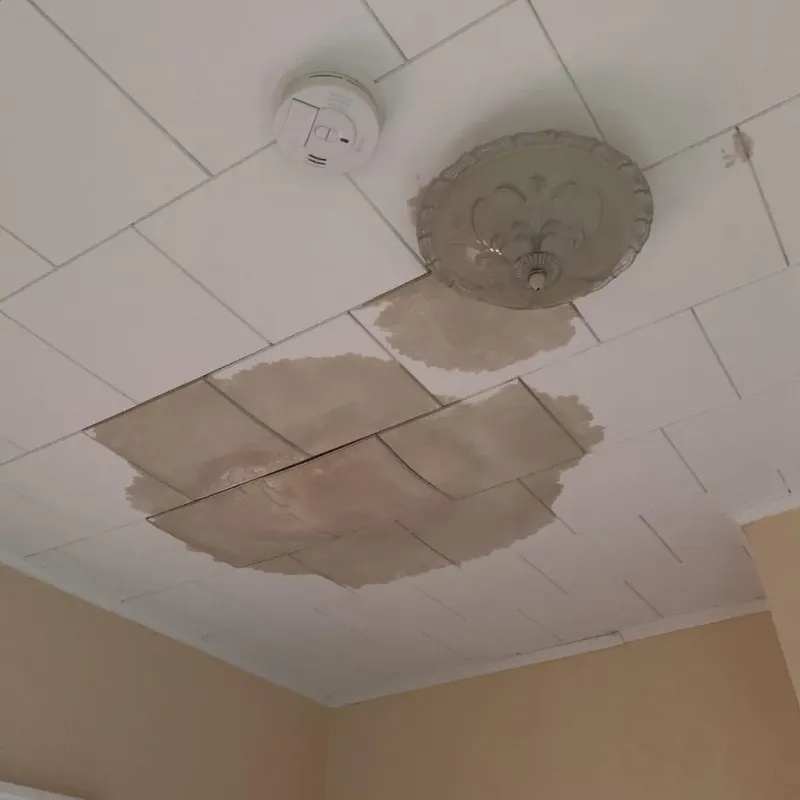 Ceiling Water Damage Repair in Natalbany, LA