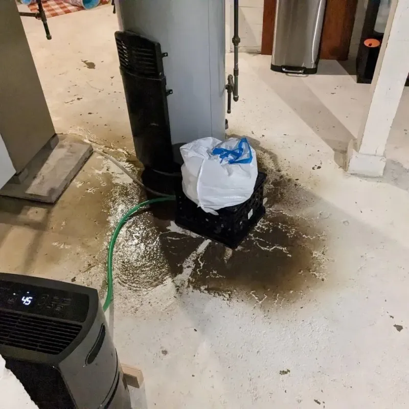 Sewage Backup Cleanup Service in Natalbany, LA